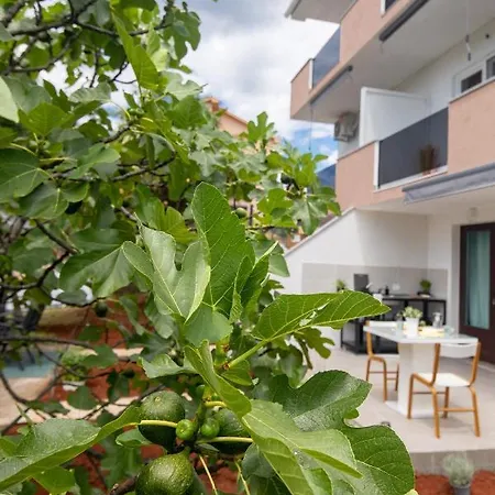 Dida I Mara Malinska