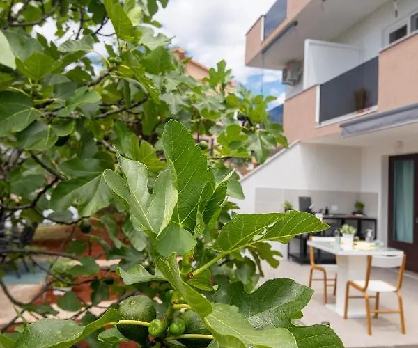 Dida I Mara Malinska